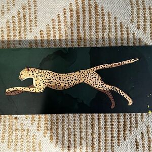 Leopard/Cheetah Picture